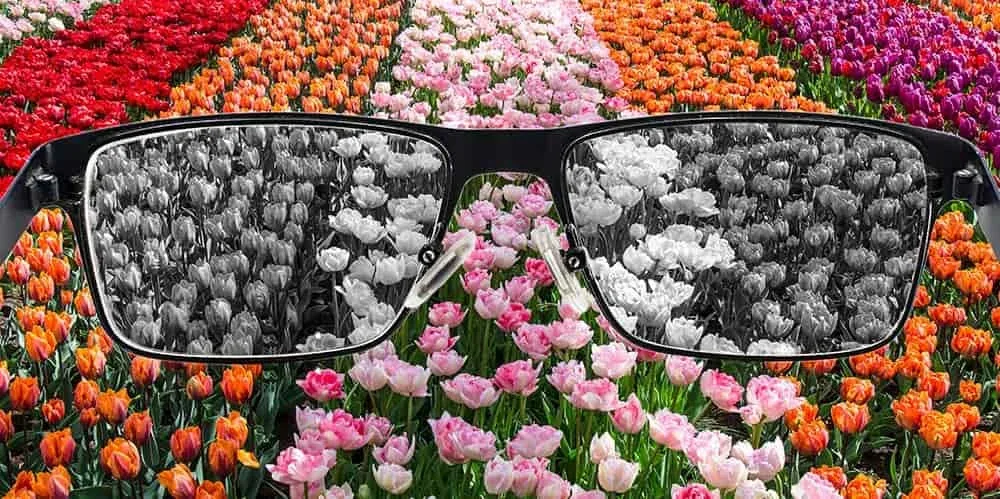 Colour Vision Deficiency — CVD, also known as colour blindness