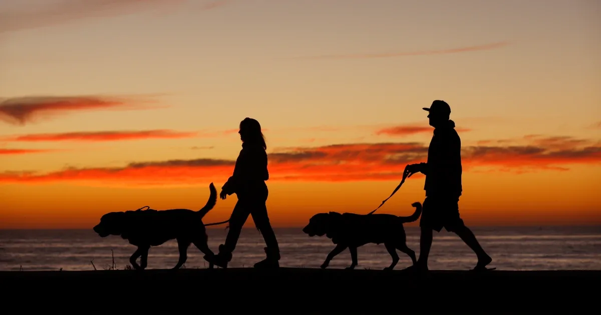 My Story, Part 1: Life Before Blindness: A Practical Independence Checklist