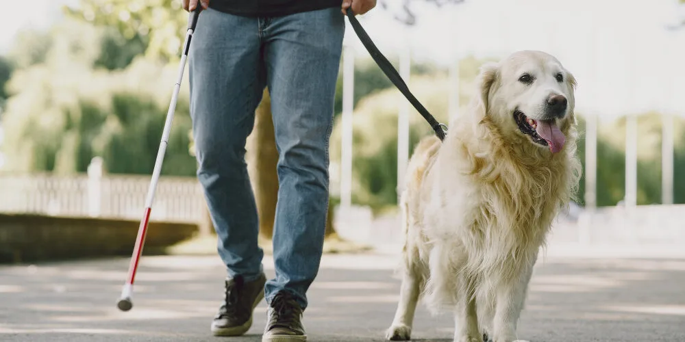 My Story, Part 1: Life Before Blindness: A Practical Independence Checklist
