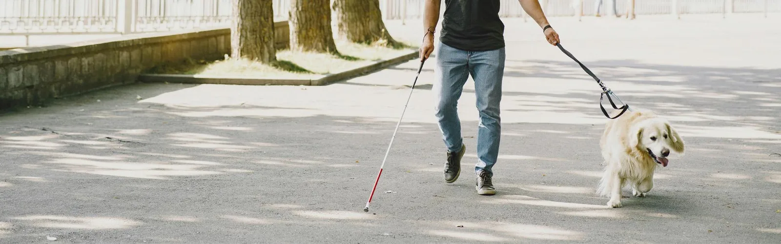 How Early Orientation and Mobility Practice Builds a Child’s Route Confidence